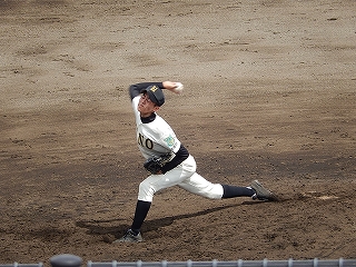 DSCN4617.jpg