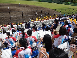 DSCN4618.jpg