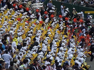 RIMG0337.jpg