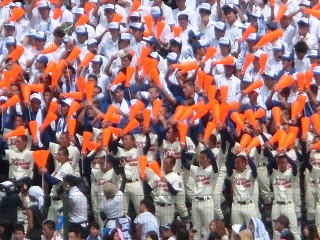 CIMG2589.jpg