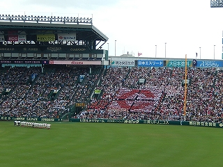 DSCN6528.jpg