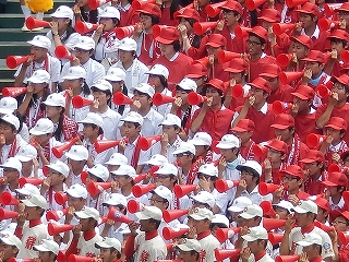 DSCN6602.jpg