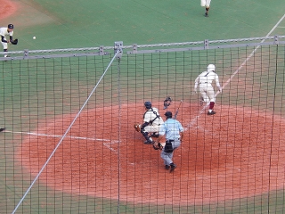 DSCN7302.jpg
