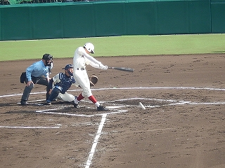 DSCN7975.jpg