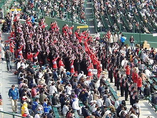 DSCN7980.jpg