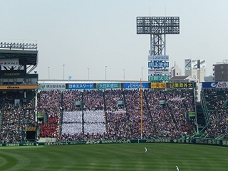 DSCN8020.jpg