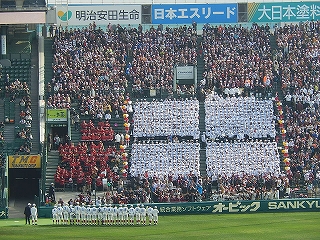 DSCN7938.jpg