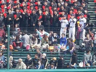 DSCN8077.jpg