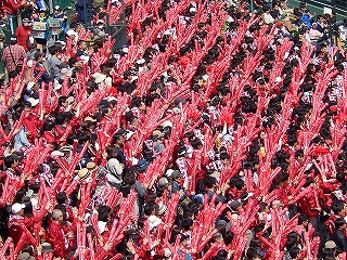 DSCN8090.jpg