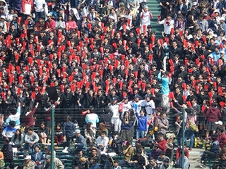 DSCN8107.jpg