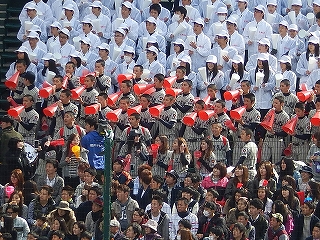 DSCN8162.jpg