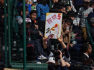 DSCN8235.jpg