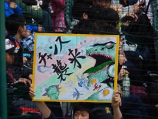 DSCN8251.jpg