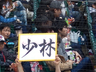 DSCN8255.jpg