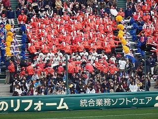 DSCN8268.jpg