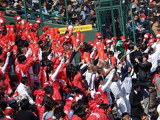 DSCN8278.jpg
