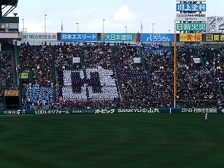 DSCN8298.jpg