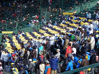 DSCN8322.jpg