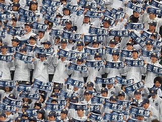 DSCN8348.jpg