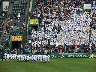DSCN8413.jpg