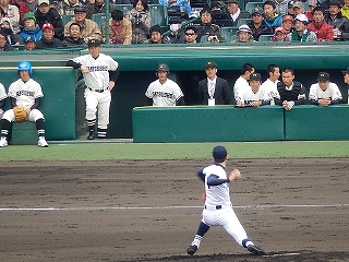 DSCN8465.jpg