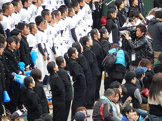 DSCN8468.jpg