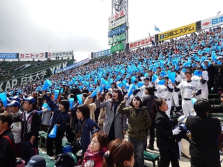 DSCN8522.jpg