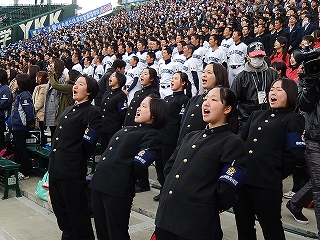 DSCN8556.jpg
