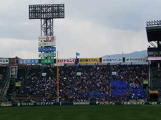 DSCN8570.jpg