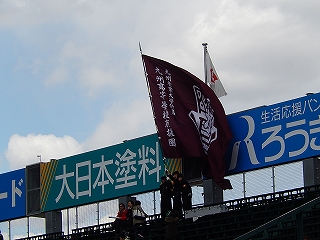 DSCN8595.jpg