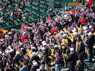 DSCN8629.jpg