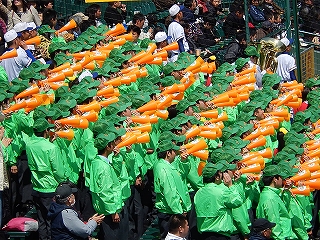 DSCN8732.jpg
