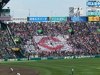 DSCN9850.jpg