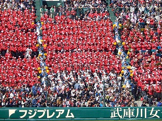DSCN0235.jpg
