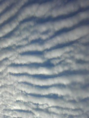121013_162010.jpg