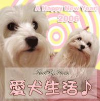 2006HappyNewYear