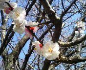 201003051022000.jpg