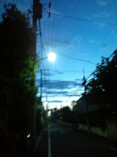 20100811190202.jpg