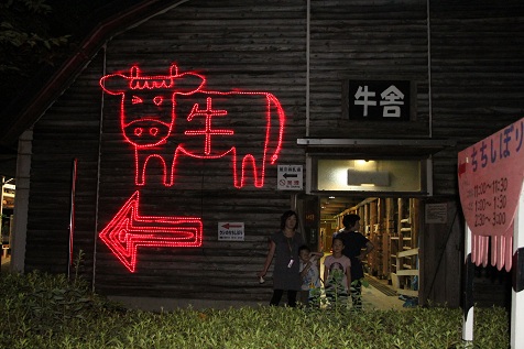 NIGHT ZOO