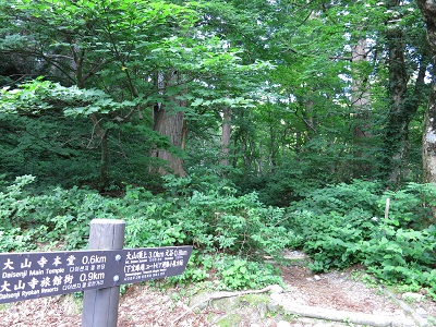 鳥取大山