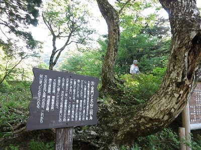 鳥取大山