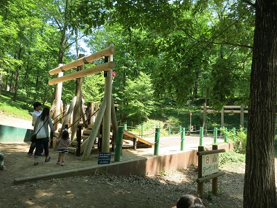 森林公園