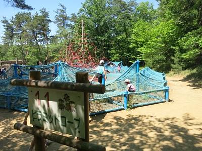 森林公園