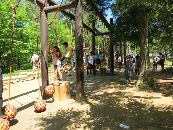 森林公園