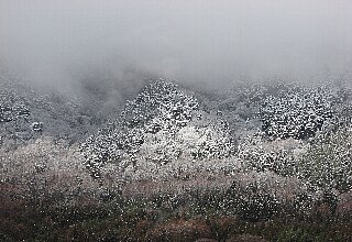 残雪