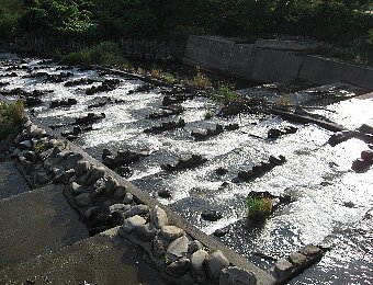 初秋の河原