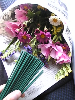 20070523_142631.jpg