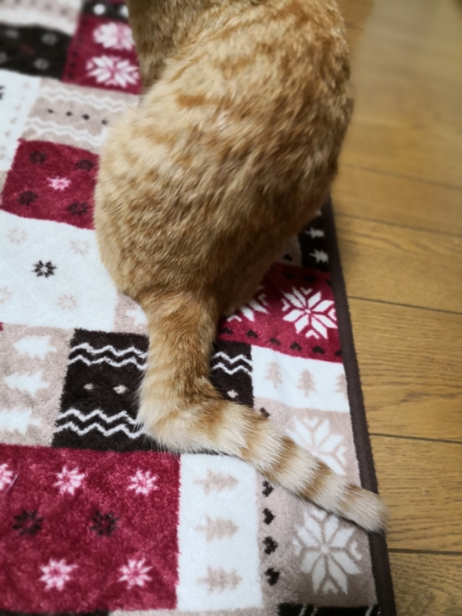 20181027_122300.jpg