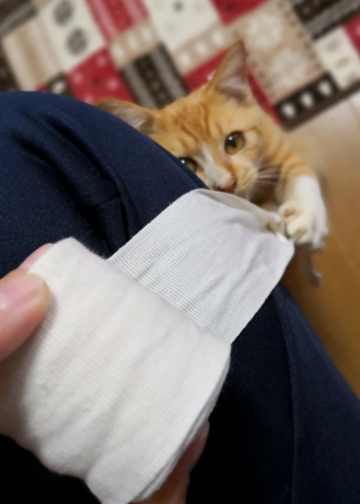 20181101_140958.jpg