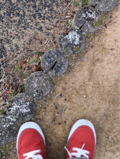 20190210_073437.jpg